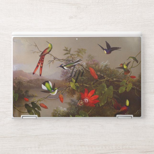 Tropical Landscape with Ten Hummingbirds Heade HP Laptop Skin (Front)