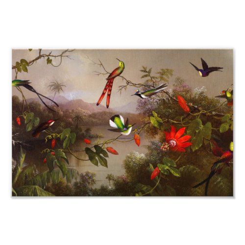 Tropical Landscape with Ten Hummingbirds Heade Photo Print