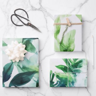 Tropical leafy green botanical house plant
