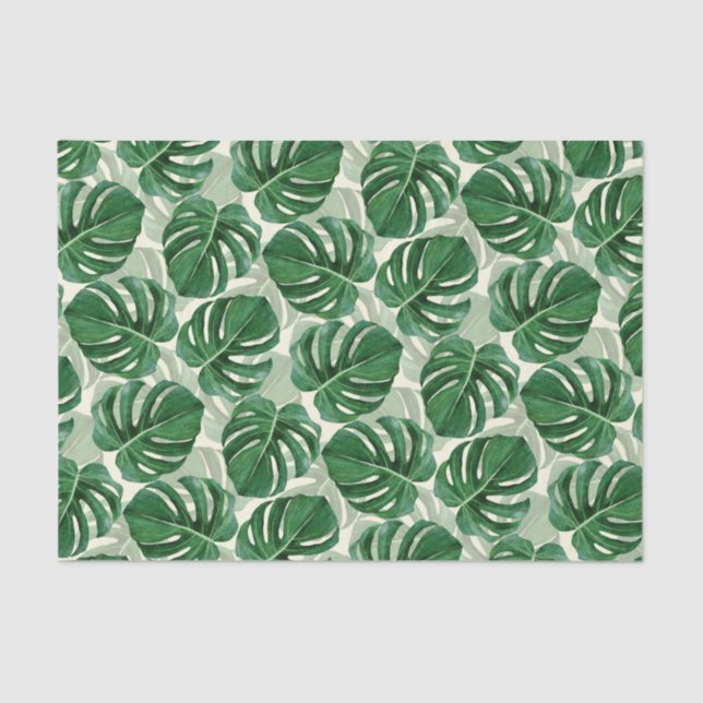 Tropical Leaves Green Monstera Tissue Paper (Front)