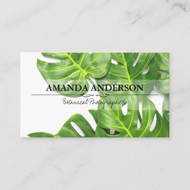 Tropical Leaves | Monstera Leaves Business Card (Front)