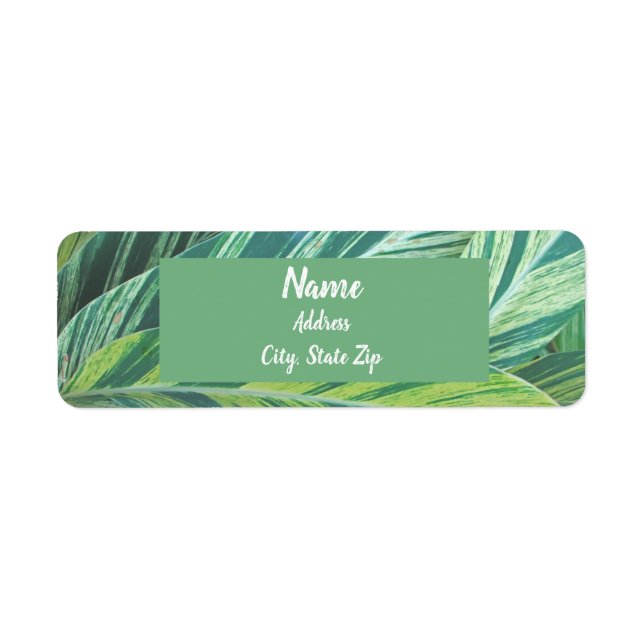 Tropical Leaves Striped Green Foliage Tropics Label (Front)