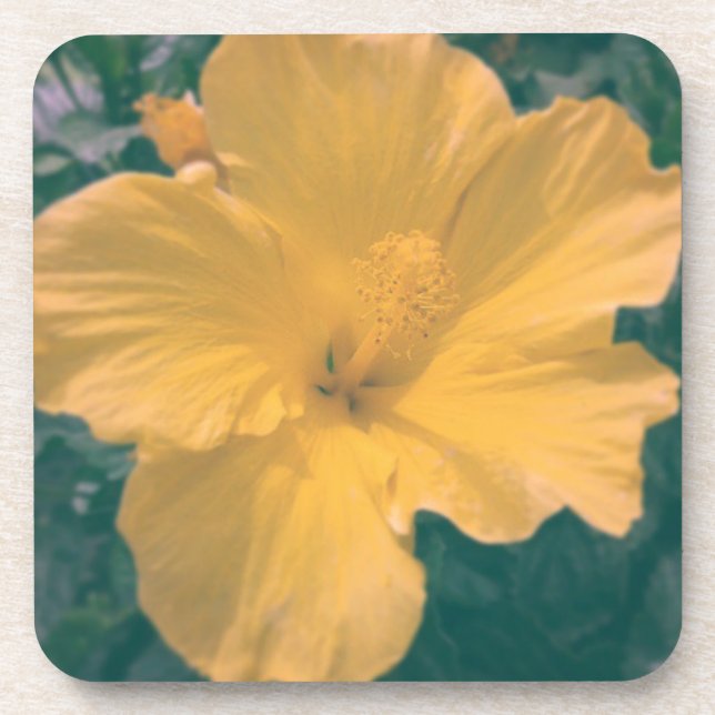 Tropical Looking Flower Drink Coaster (Front)