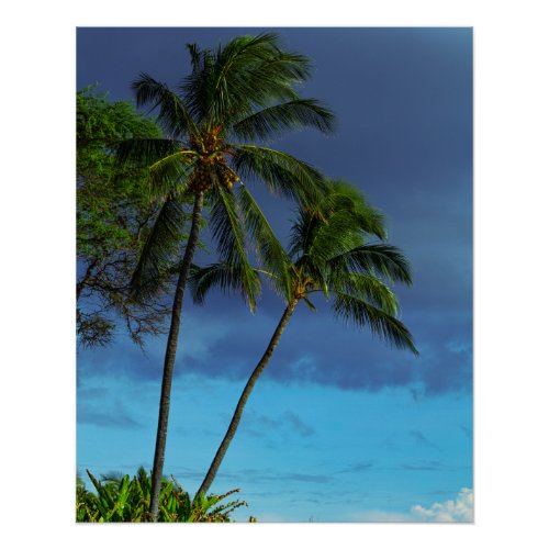 Tropical Lush Green Island Coconut Palm Trees Poster