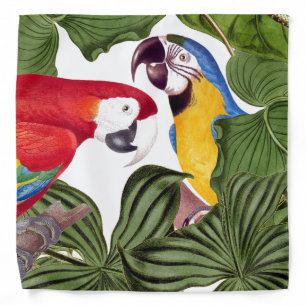 Tropical Macaw Parrot Bird Wildlife Animal Bandana