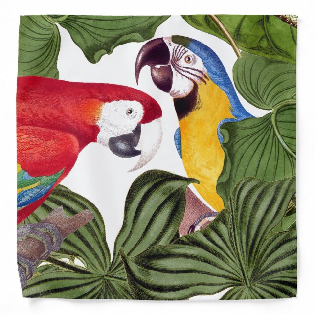 Tropical Macaw Parrot Bird Wildlife Animal Bandana (Front)