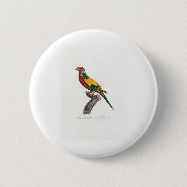 tropical macaw parrot button (Front)