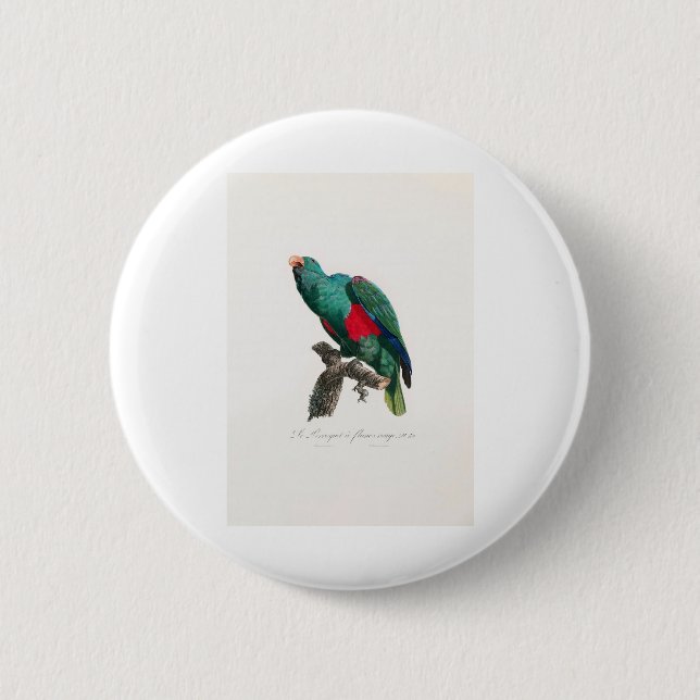 tropical macaw parrot button (Front)