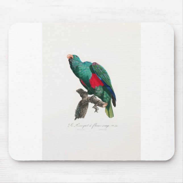 tropical macaw parrot mouse pad (Front)