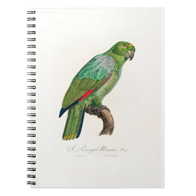 tropical macaw parrot notebook (Front)