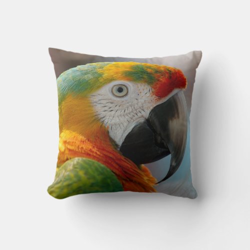 Tropical Macaw Parrot Throw Pillow