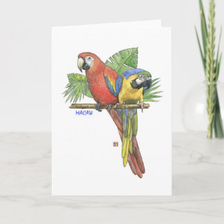 Tropical Macaws Note Card