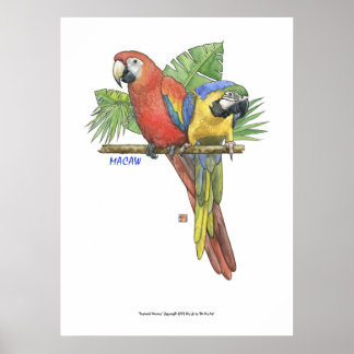 Tropical Macaws Poster