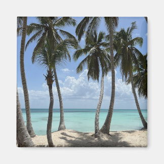 Tropical Magnet