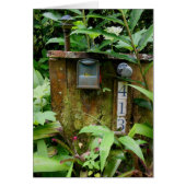 Tropical Mail Box (Front)