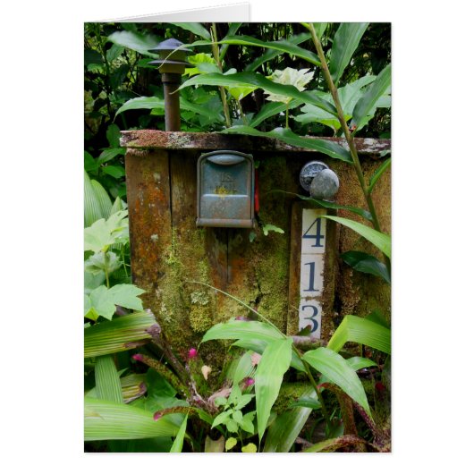 Tropical Mail Box Cards (Front)