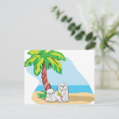 tropical maltese (Standing Front)
