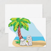 tropical maltese (Front/Back)