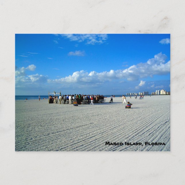 Tropical Marco Island Florida - A Beach Wedding Postcard (Front)