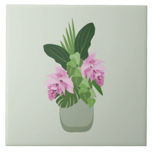 Tropical Medinilla Pink Flower in Green Vase Ceramic Tile