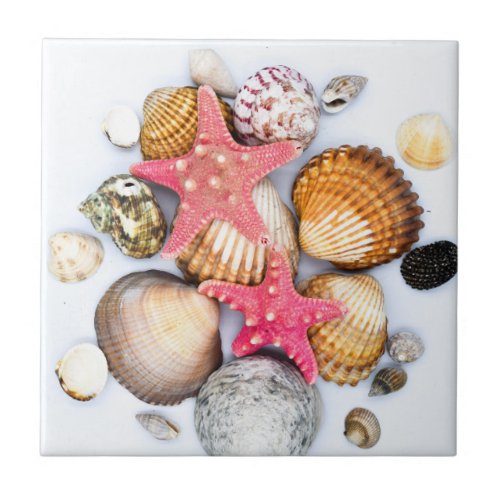 Tropical Mixed Seashells Starfish Ceramic Tile