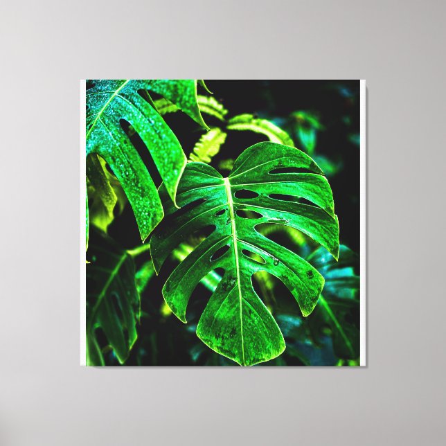 Tropical Monstera Glow – Jungle Leaf Photography Canvas Print (Front)