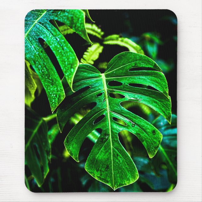 Tropical Monstera Glow – Jungle Leaf Photography Mouse Pad (Front)