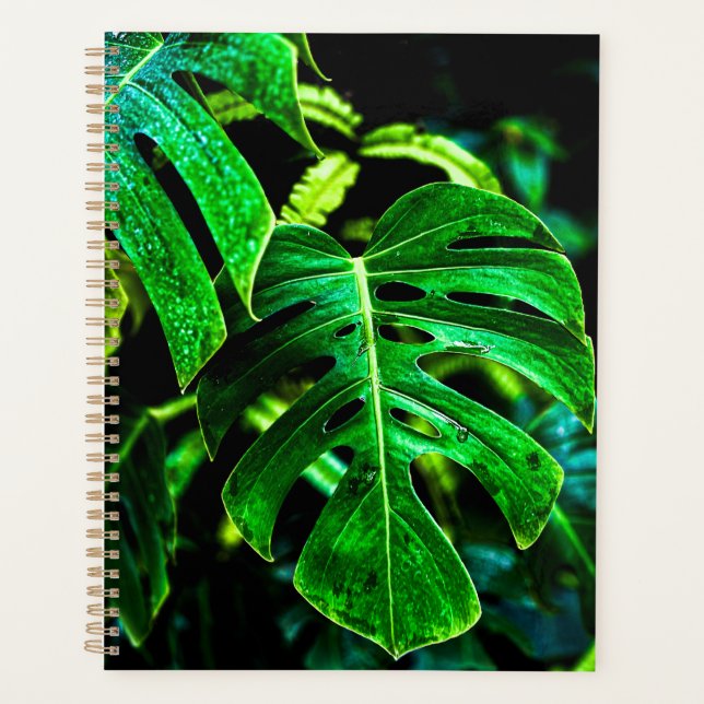 Tropical Monstera Glow – Jungle Leaf Photography Planner (Front)