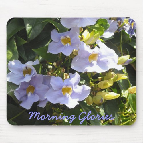 Tropical Morning Glories Mouse Pad