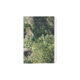 Tropical Mountain Lush Jungle Colonial Town Cover