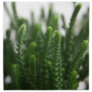 Tropical Nature Green Grass Succulent Photo Napkin