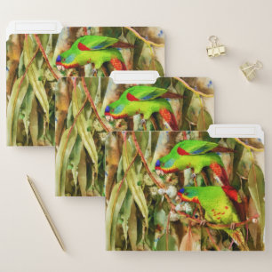 Tropical Nature Parrots Green Birds File Folder