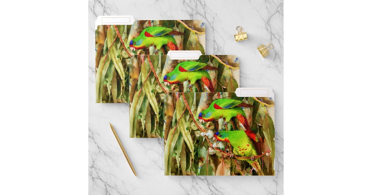 Tropical Nature Parrots Green Birds File Folder | Zazzle