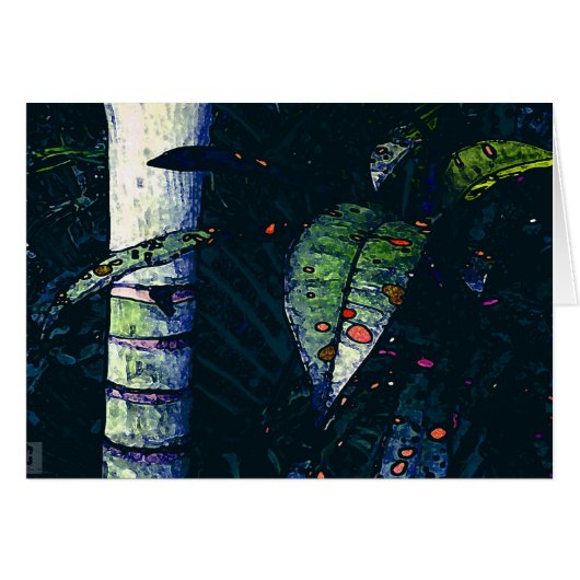 Tropical night (Front Horizontal)