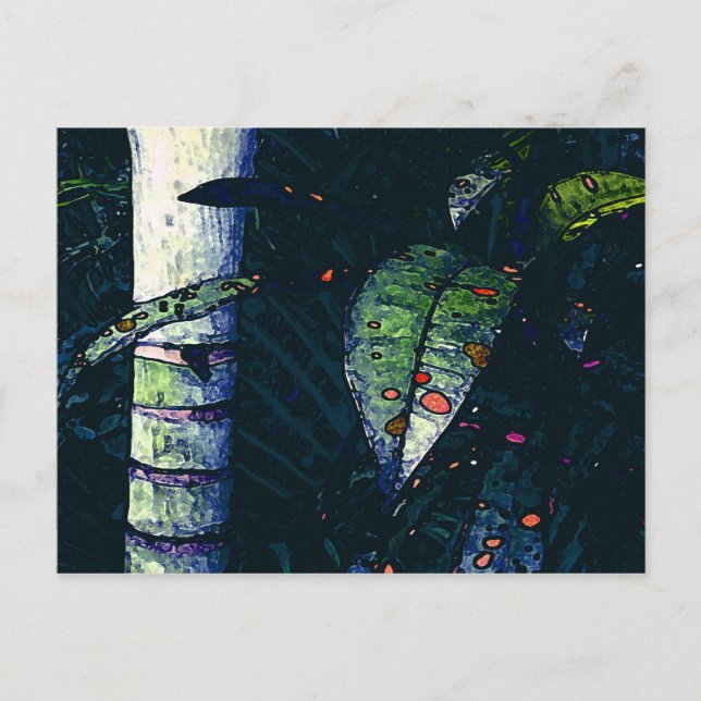 Tropical night postcard (Front)