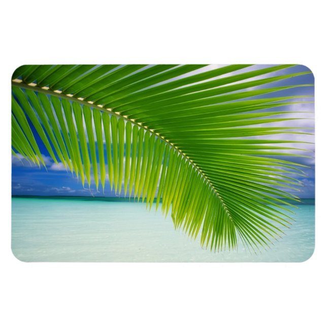 Tropical Ocean Magnet (Horizontal)