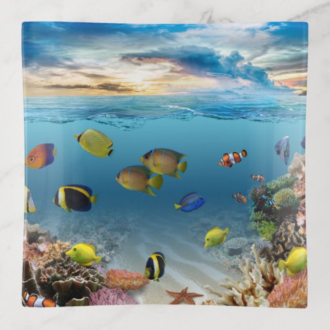 Tropical Ocean Sunset Coral Reef Underwater Trinket Tray (Front)
