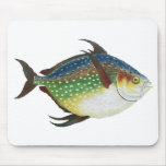 Tropical Opah Fish, Vintage Marine Aquatic Animal Mouse Pad