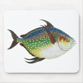 Tropical Opah Fish, Vintage Marine Aquatic Animal Mouse Pad
