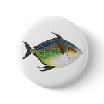 Tropical Opah Fish, Vintage Marine Aquatic Animal Pinback Button