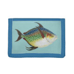 Tropical Opah Fish, Vintage Marine Aquatic Animal Tri-fold Wallet
