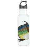 Tropical Opah Fish, Vintage Marine Aquatic Animal Water Bottle