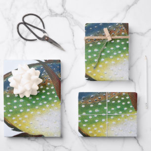 Tropical Opah Fish, Vintage Marine Aquatic Animal Wrapping Paper Sheets