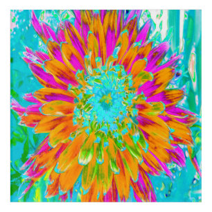 Tropical Orange and Hot Pink Decorative Dahlia Acrylic Print