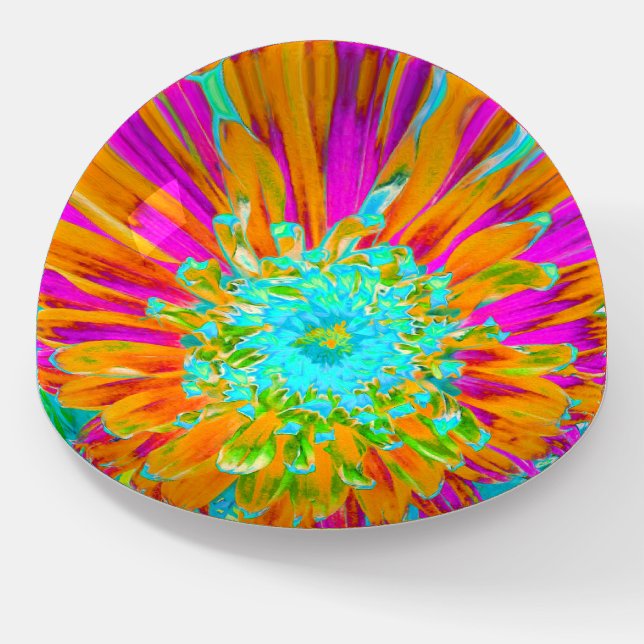 Tropical Orange and Hot Pink Decorative Dahlia Paperweight (Angled)