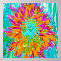 Tropical Orange and Hot Pink Decorative Dahlia