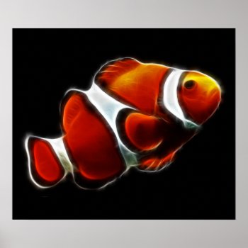 Tropical Orange Clownfish Clown Fish Poster by Aurora_Lux_Designs at Zazzle