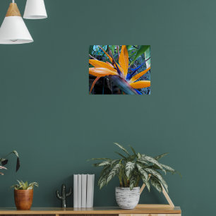 Tropical Orange Crane Flower Floral Poster