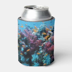 Tropical Orange Fish and Pink Coral Can Cooler
