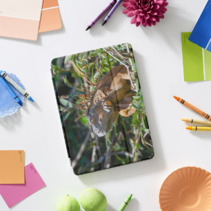 Tropical Orange Lizard, Orange Iguana iPad Pro Cover